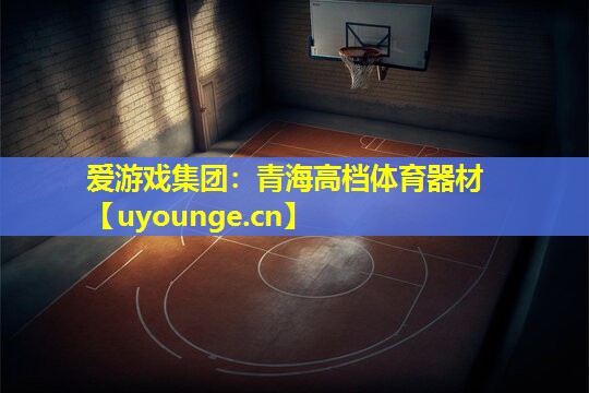 青海高档体育器材 青海高档体育器材