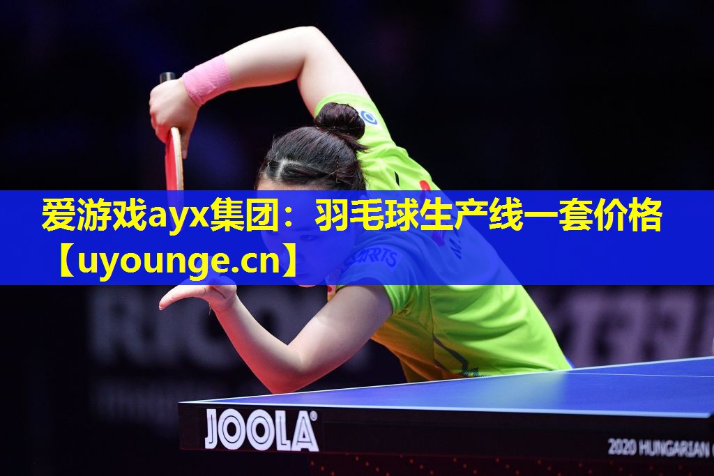 羽毛球生产线一套价格 羽毛球生产线一套价格