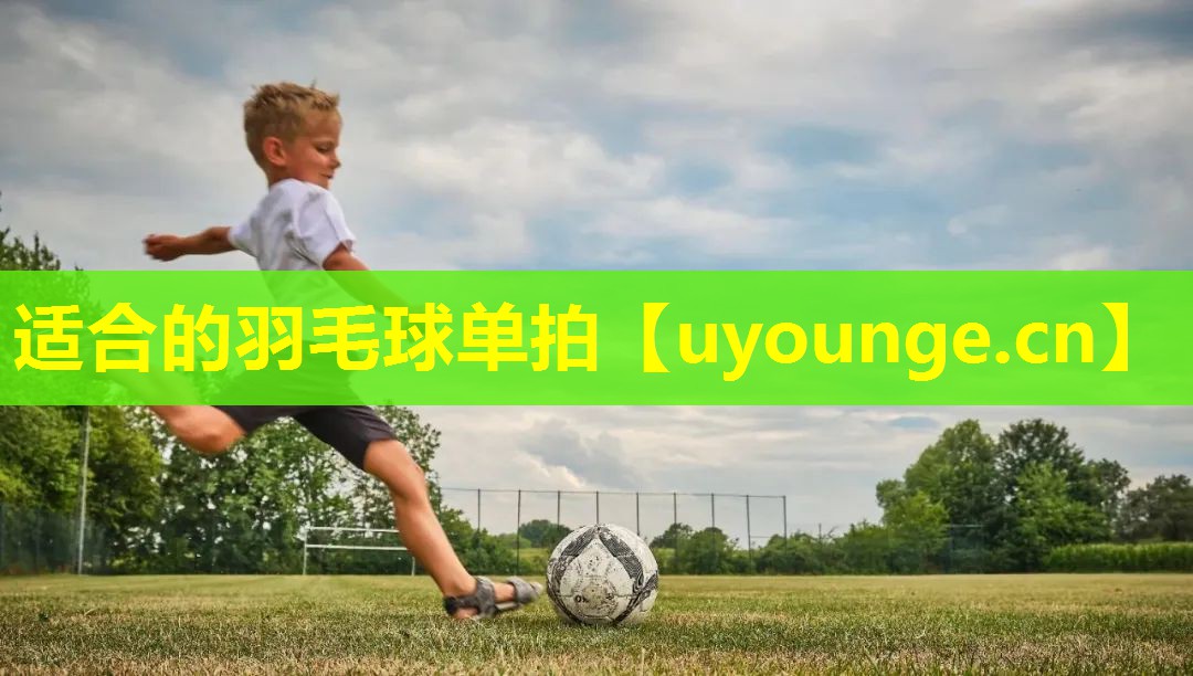 适合的羽毛球单拍 适合的羽毛球单拍