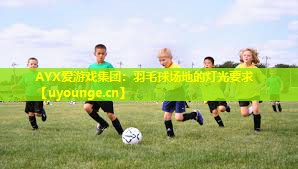 羽毛球场地的灯光要求 羽毛球场地的灯光要求