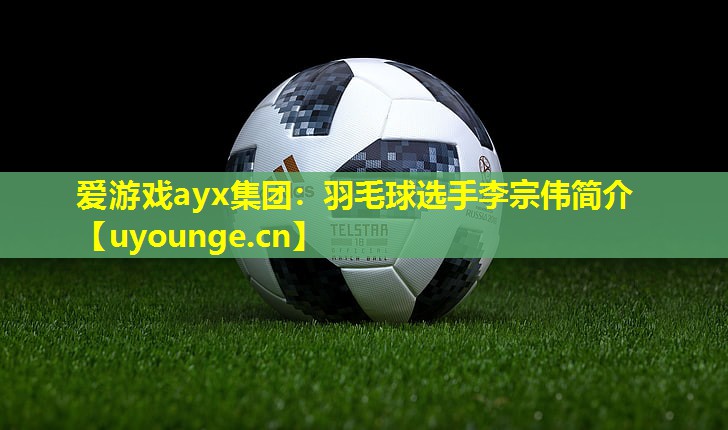 羽毛球选手李宗伟简介 羽毛球选手李宗伟简介