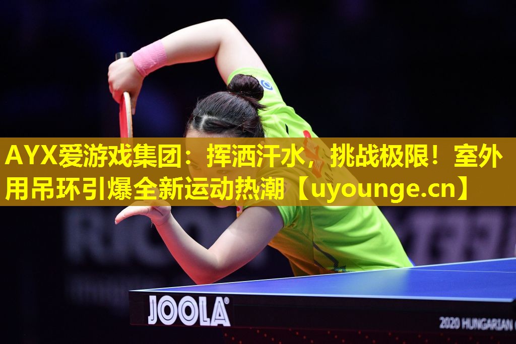 挥洒汗水,挑战极限!室外用吊环引爆全新运动热潮 挥洒汗水,挑战极限!室外用吊环引爆全新运动热潮