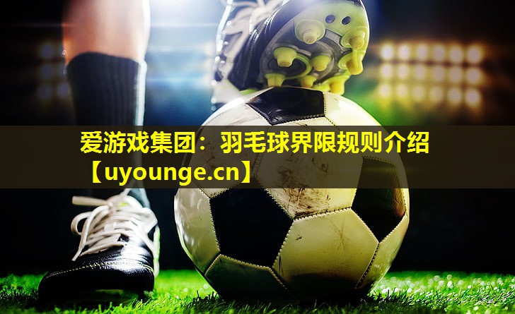 羽毛球界限规则介绍 羽毛球界限规则介绍