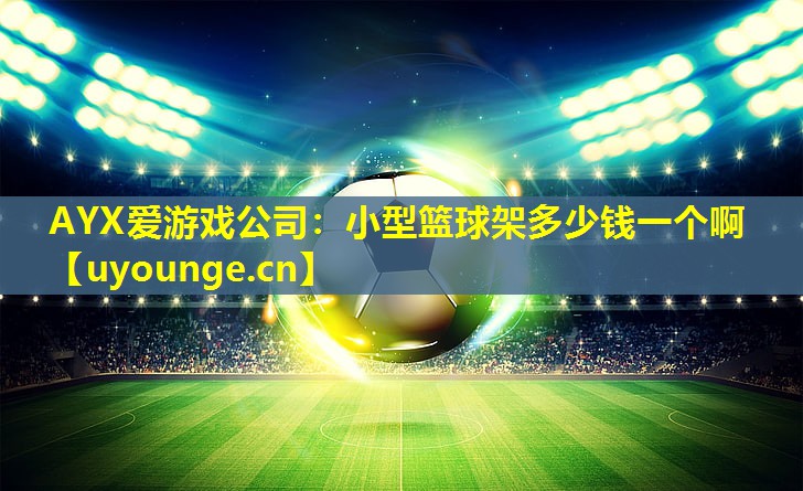 小型篮球架多少钱一个啊 小型篮球架多少钱一个啊